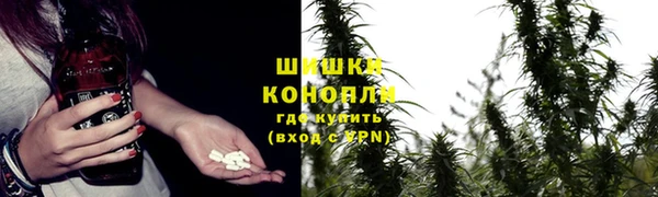 соль курить ск Гусь-Хрустальный