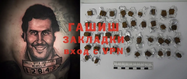 ПСИЛОЦИБИНОВЫЕ ГРИБЫ Гусев