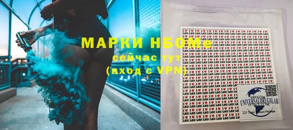 ПСИЛОЦИБИНОВЫЕ ГРИБЫ Гусев