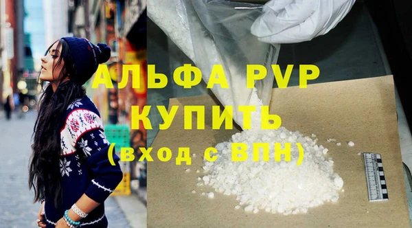 ПСИЛОЦИБИНОВЫЕ ГРИБЫ Гусев