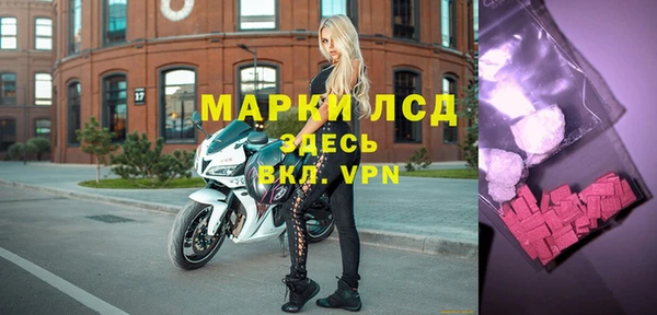 ПСИЛОЦИБИНОВЫЕ ГРИБЫ Гусев