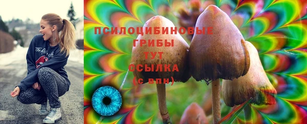 бутират Горнозаводск