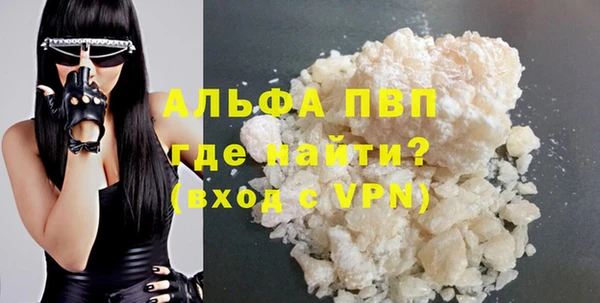 ПСИЛОЦИБИНОВЫЕ ГРИБЫ Гусев
