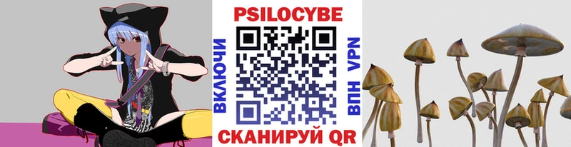 магазин продажи наркотиков  Курск  Галлюциногенные грибы GOLDEN TEACHER 